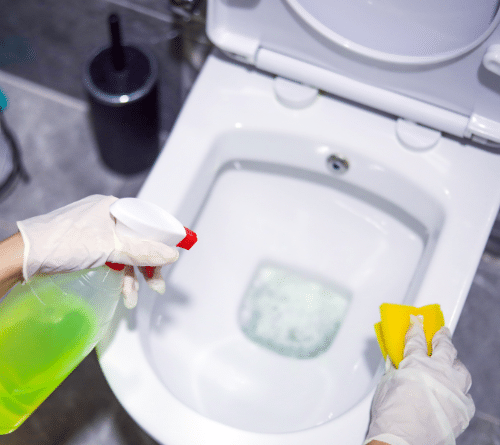 produtos de limpeza para banheiro